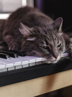 do cats like music that mimics bird songs