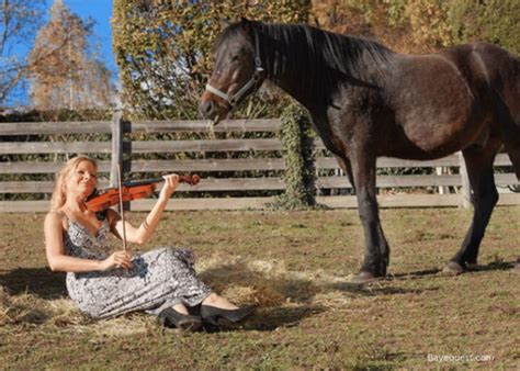 do horses like music? talking about the mysterious bond between man and beast